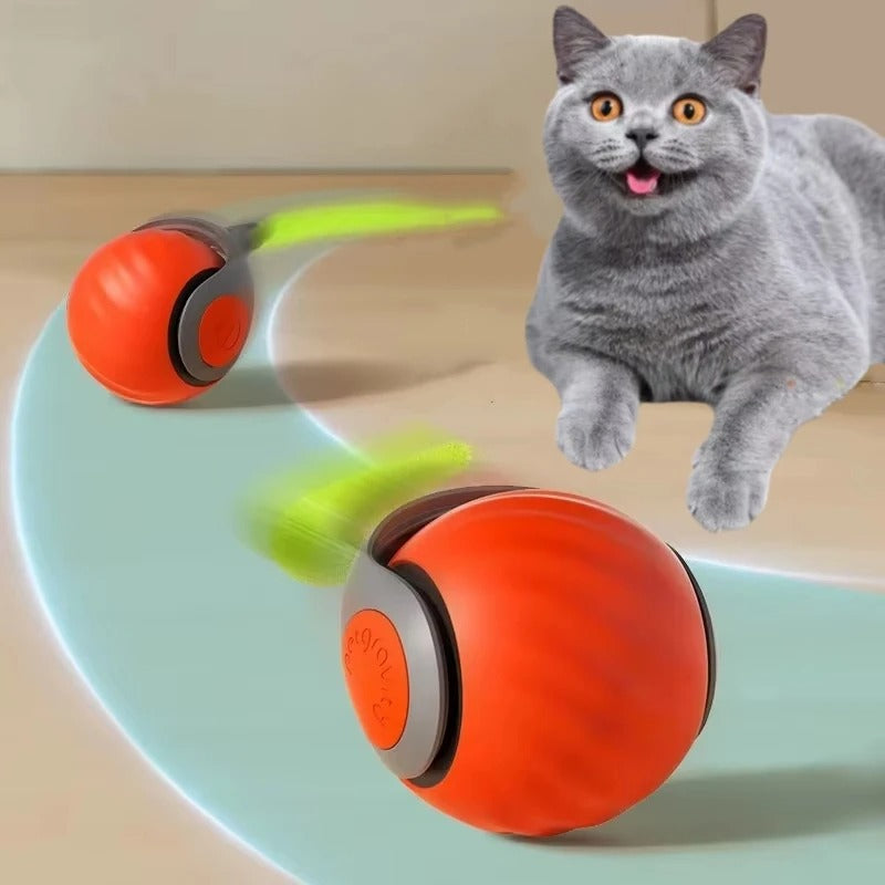 Cat Tazzy Instinto Ativo
