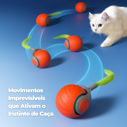 Cat Tazzy Instinto Ativo