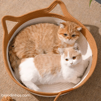 Cesta Bigodinhos