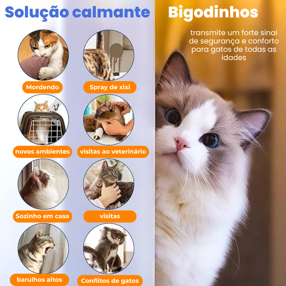 Difusor de Feromônios Calmante para Gatos Bigodinhos