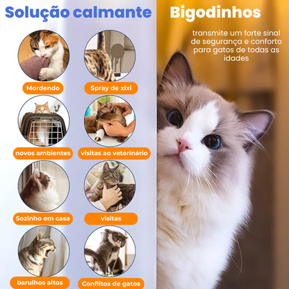 Difusor de Feromônios Calmante para Gatos Bigodinhos