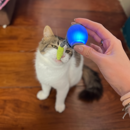 Cat Tazzy Instinto Ativo